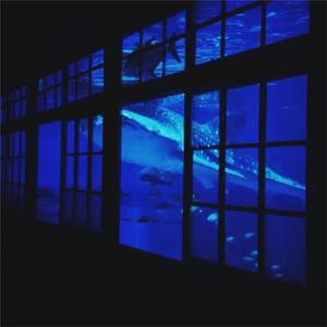 憋尿➕挠胸➕挠腋窝视频
