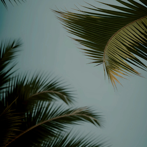 憋尿➕挠胸➕挠腋窝视频
